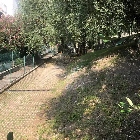公寓 La Casa Sul - Olive Tree *